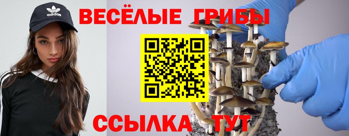 продажа наркотиков  Галлюциногенные грибы прущие грибы  Вход с VPN  Сердобск 