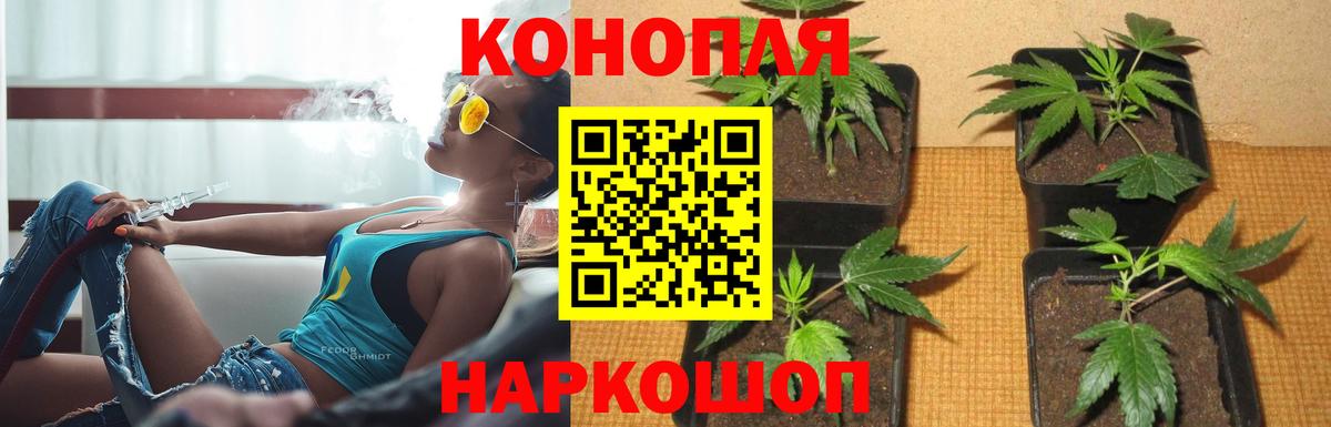 Каннабис SATIVA & INDICA Сердобск